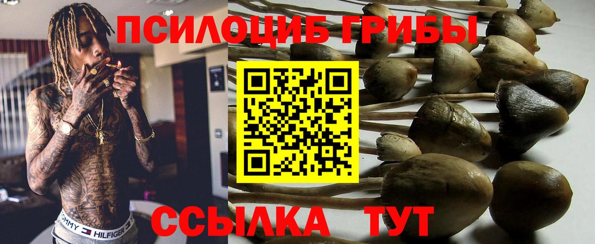 Псилоцибиновые грибы Magic Shrooms  Галлюциногенные грибы GOLDEN TEACHER  Вход с VPN  Новосибирск 