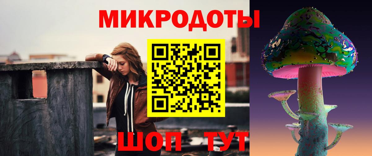 Псилоцибиновые грибы Cubensis Новосибирск